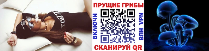 гидра tor  Сыктывкар  Галлюциногенные грибы Psilocybe 