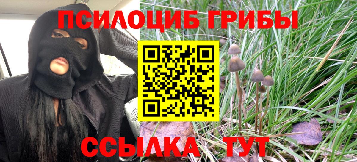 Сыктывкар  купить наркотики сайты  Вход с VPN  Галлюциногенные грибы Magic Shrooms 